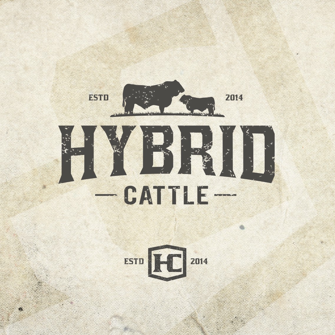 Cattle Brand Fonts Logos - Free Cattle Brand Fonts Logo Ideas, Design