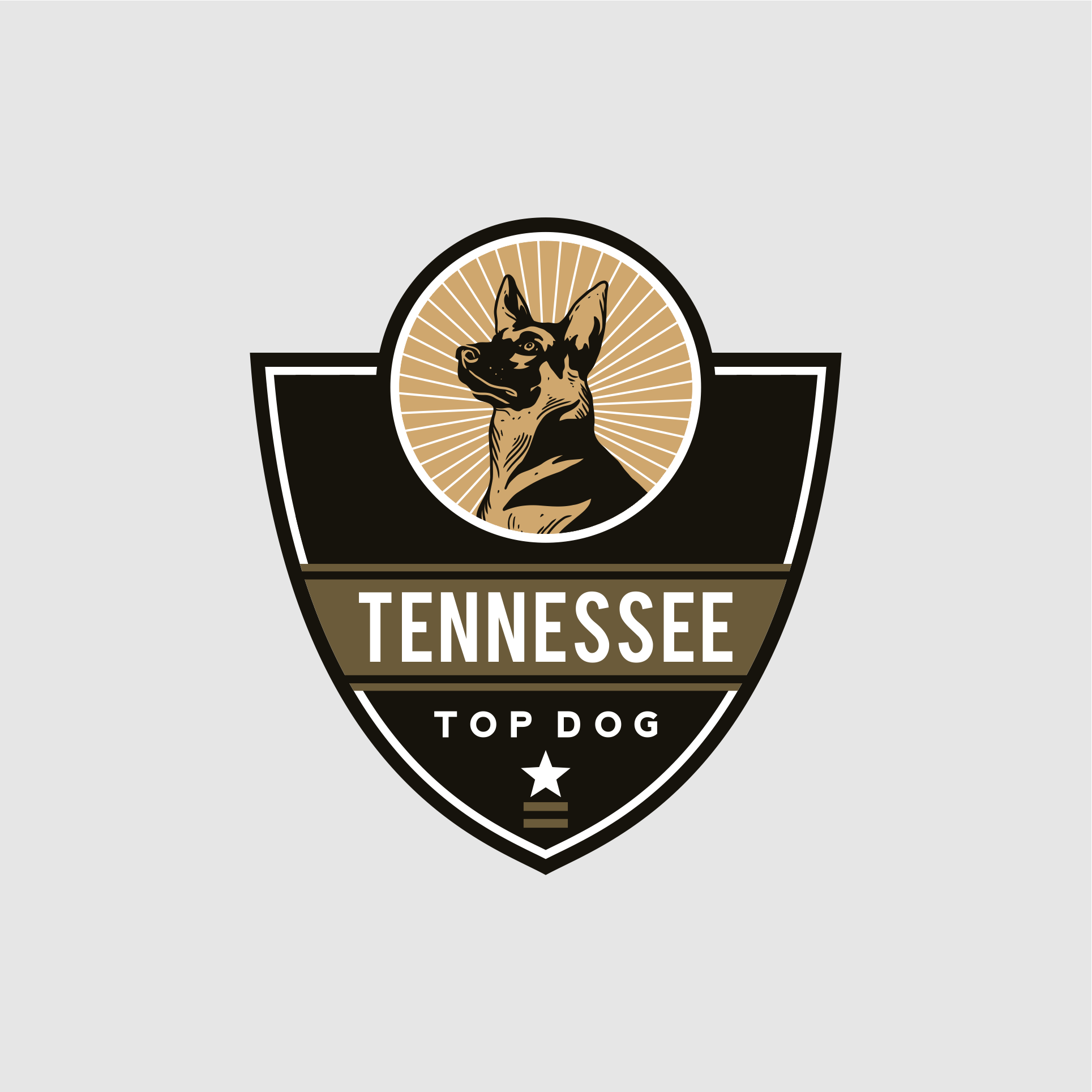 nashville-logos-free-nashville-logo-ideas-design-templates