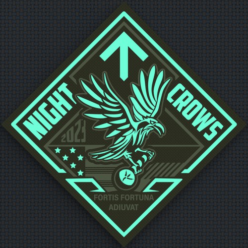 NIGHT CROWS - Military Special Operations Unit Logo design contest - GER/US Design by Sasha Løft