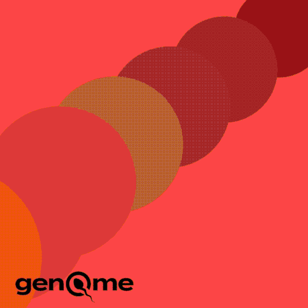 Website Design Collection