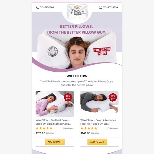 "Wife Pillow - Project A - Email Serious Base on our content" winning Email by UMA_09