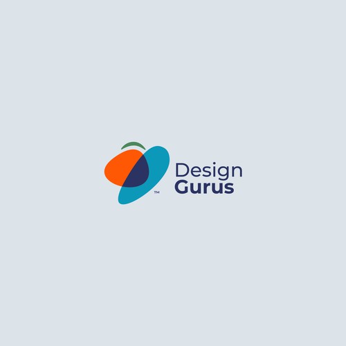 DesignGurus.com  --  NEW AGENCY Design by VisibleGravity™