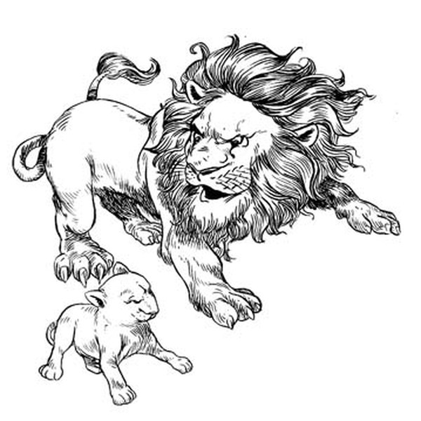 Father lion and cub Illustration
