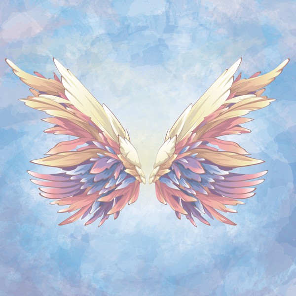 photo backdrop illustration