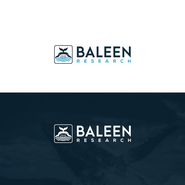Baleen Research