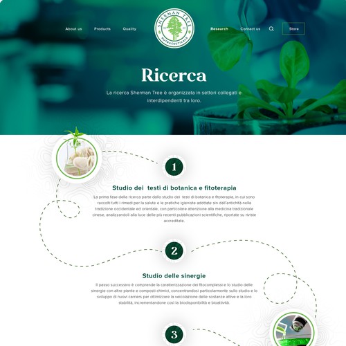 Sherman tree website Design by lipsurn®