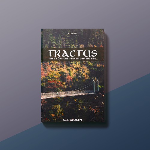 Book cover contest entry by WhoIsPixxie