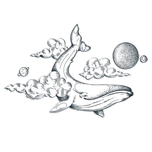 Illustration of a whale