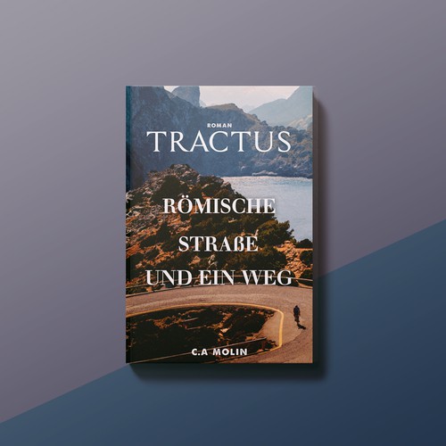 Book cover contest entry by WhoIsPixxie