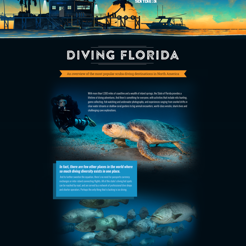Make "wall of text" appealing for Diving in Florida web page. Design by BespokeDesign