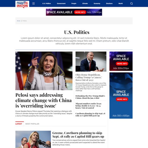 Wordpress Design for Political Blog Design by Dipis