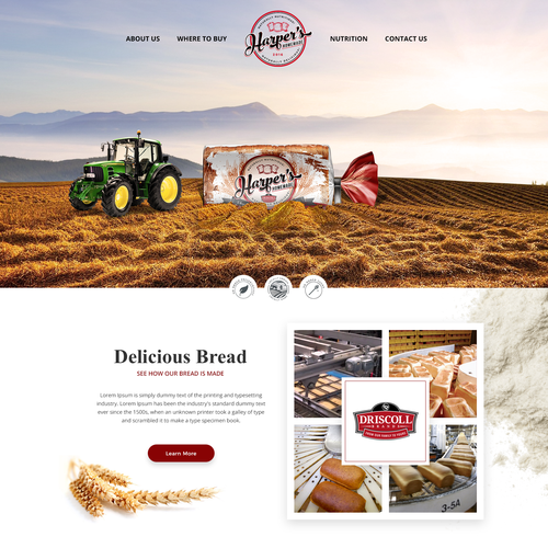 Web page design contest entry by UX Specialist