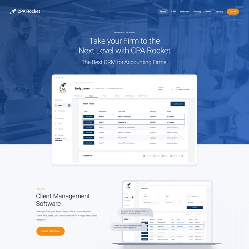 Website Design for our Accounting CRM Software Design by keilaMaria