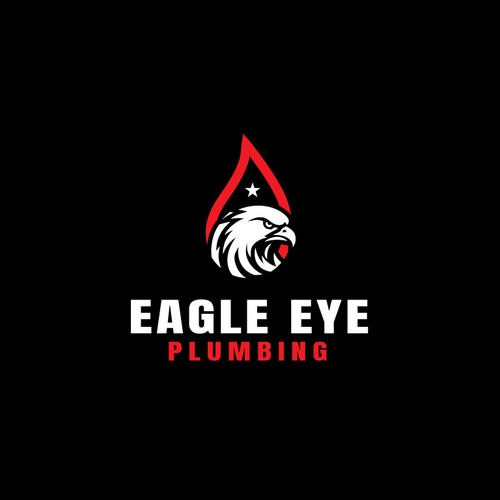 Eye catching and very marketable logo for plumbing company. The company name is Eagle Eye Plumbing Design by JakirVector