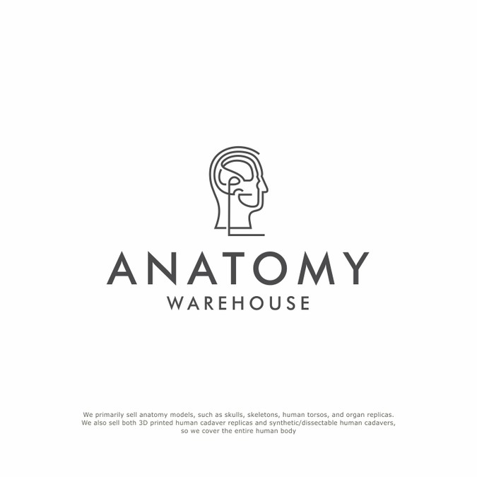 Anatomical Model Co. Looking for Creative, Modern Yet Timeless Logo With Human Anatomy Logo
