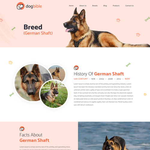 Web page design contest entry by Technology Wisdom