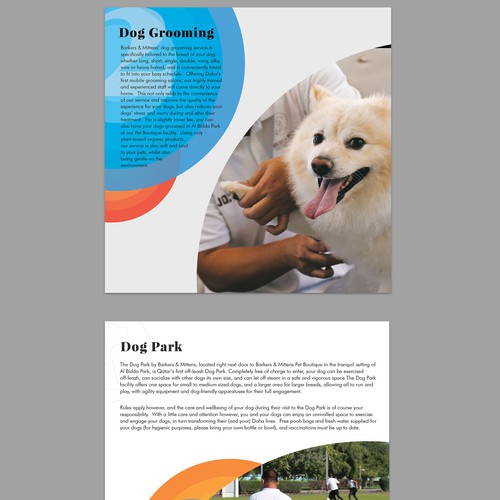 Create an Impactful, Vibrant and Contemporary Iron-Cross Brochure Design by Creativedzine