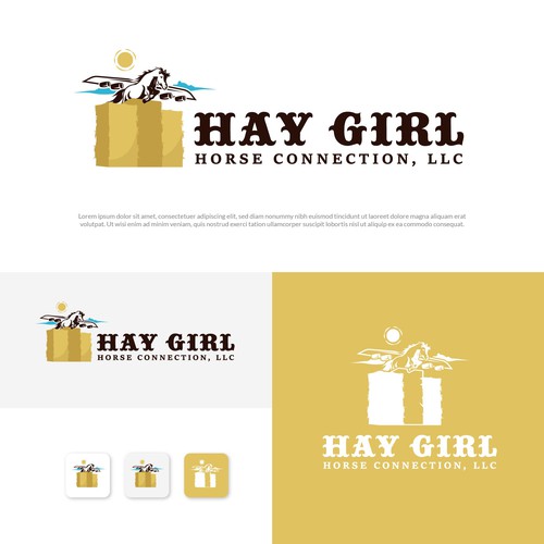 High flying horse showing athleticism - Go GET THEM ATTITUDE to sell Hay on website Design by Danielle Curtis