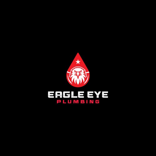 Eye catching and very marketable logo for plumbing company. The company name is Eagle Eye Plumbing Design by JakirVector