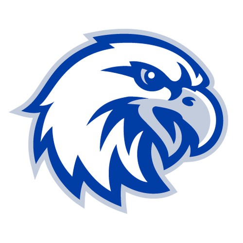 High-Flying Eagle Logo for a High-Performing School District Design by REDPIN