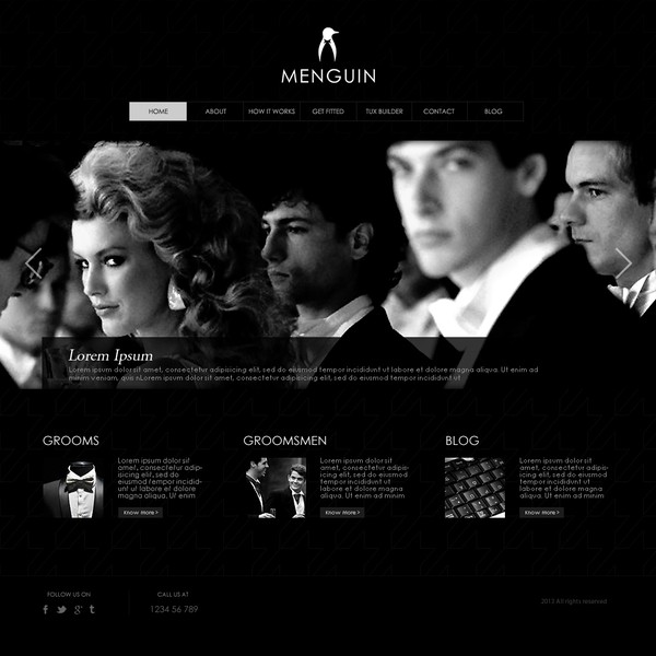 New website design wanted for Menguin.com