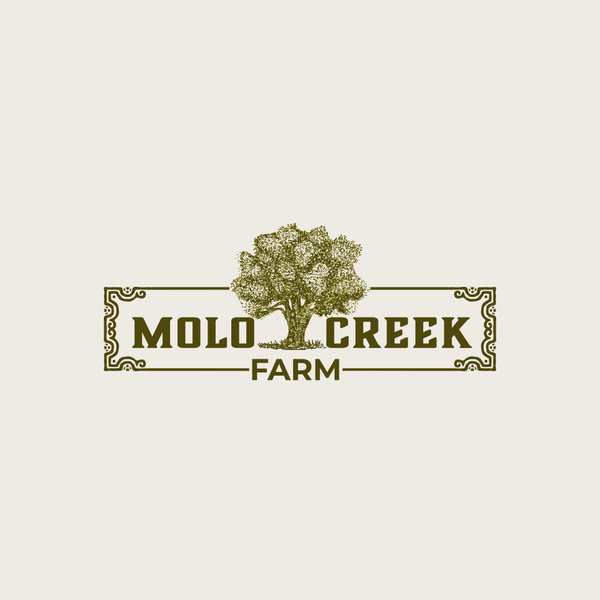 Vintage logo for artisanal food and beverage
