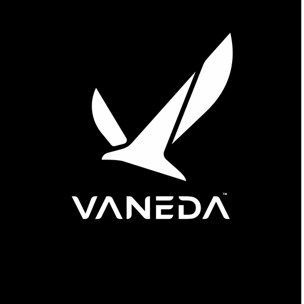 Modern Minimalist Logo Clean & Professional Design for VANEDA A Contemporary Outdoor & Lifestyle Brand, Where Urban Meets Nature 