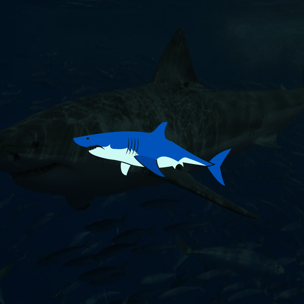 Design by GARAGAツ titled "illustration of shark"