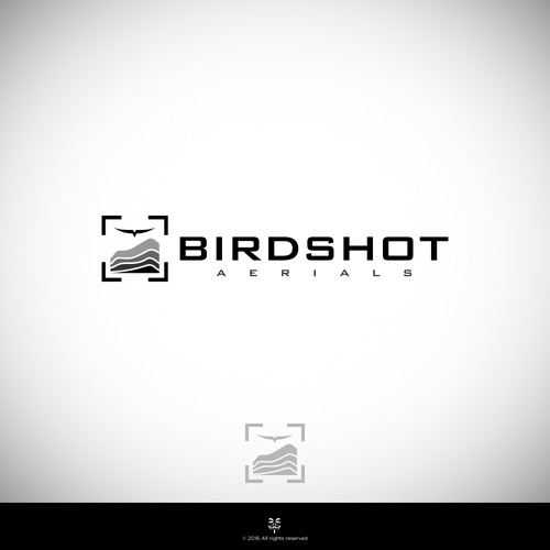 Create a high-flying view for Birdshot Aerials Design by Mastah Killah 187