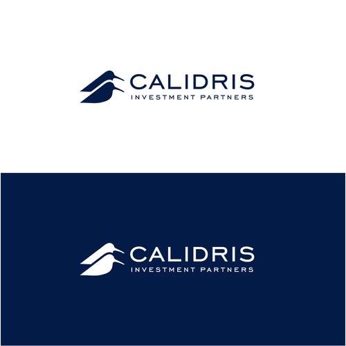 New Private Investment Firm Design by bo_rad