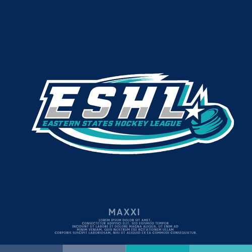 Hockey puck logo with the title 'Hockey League'