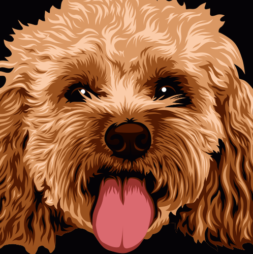 Pet brand with the title 'Lady Kirra and Co.'