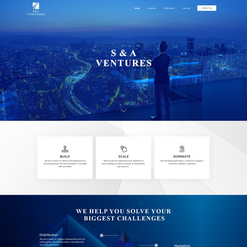 White background design with the title 'Venture Consulting Website'