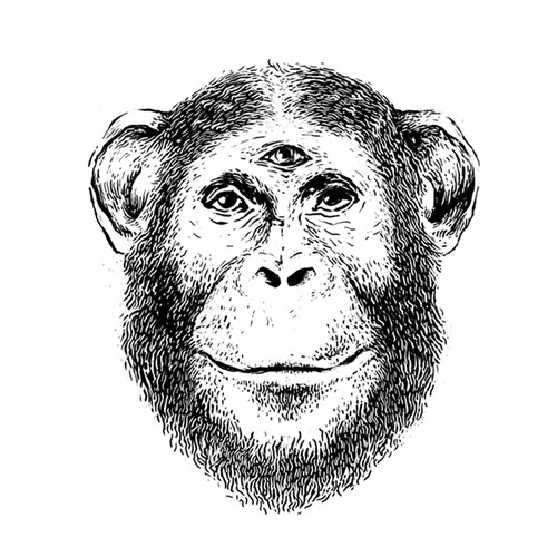 Food and beverage logo with the title 'Stoned Ape'