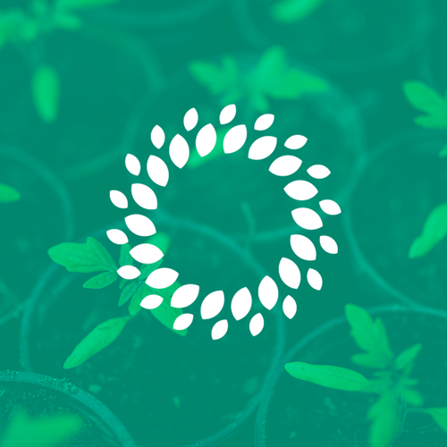 Plant brand with the title 'AgoroMod logo concept'