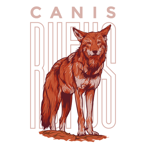 Wolf t-shirt with the title 'CANIS RUFUS '