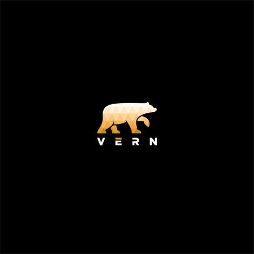 Snapback logo with the title 'vern'
