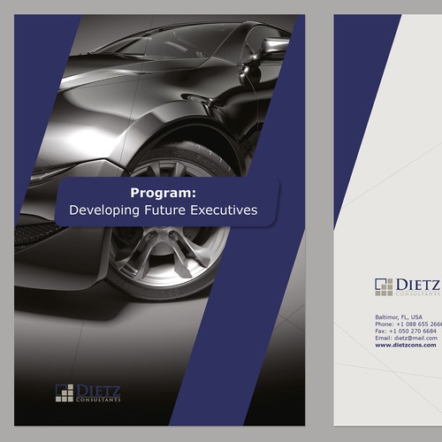 Layout design with the title 'Concept of presentation for consulting company'