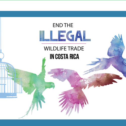 Bird artwork with the title 'Label for non-profit water brand'