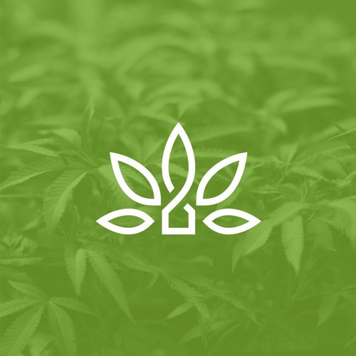 Strong design with the title 'Modern Simple Logo Design CBD and health retail store logo | HomeGrown Health'