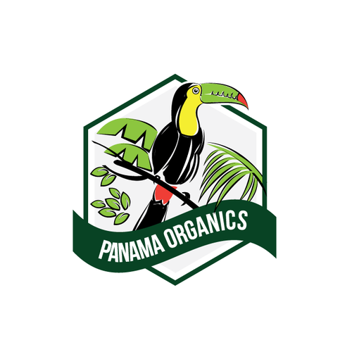 Rainforest design with the title 'Panama Organics'