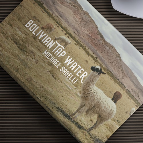 Landscape book cover with the title 'book cover'