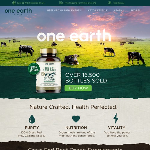 Supplement website with the title 'Web Design for One Earth'
