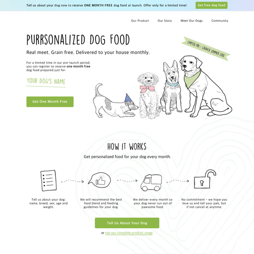 Pet website with the title 'Website for a Dog Food Business'