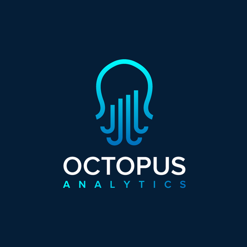 Discovery design with the title 'Octopus Analytics'