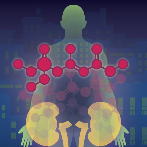 Anatomy design with the title 'Scientific Journal Cover Illustration'