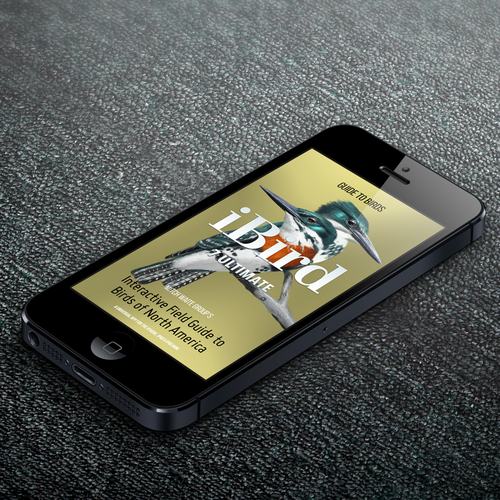 Layout design with the title 'Splash Screen for iPhone App'