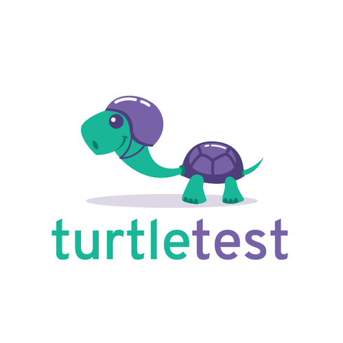 Turtle design with the title 'Turtle Test'