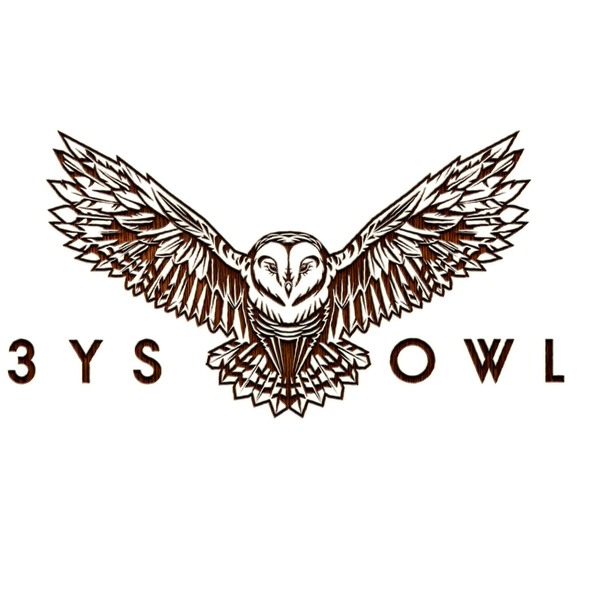 Cover logo with the title '3YSOwl'