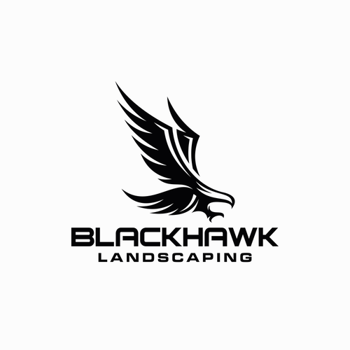 Hawk design with the title 'Hawk logo design'